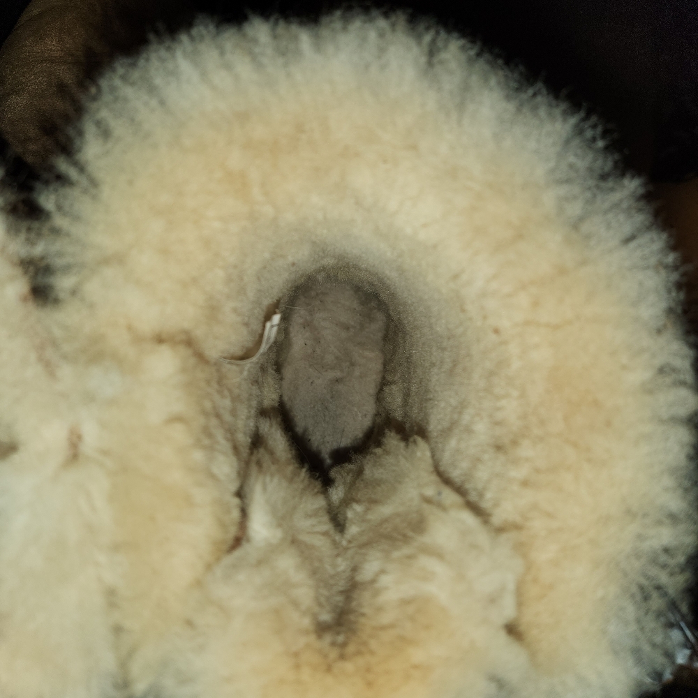 Ugg Bailey Shearling Lined Boots - image 5